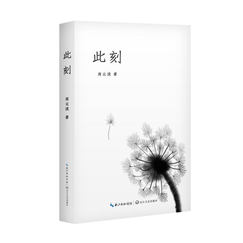 此刻 周云波 9787535498281【正版】