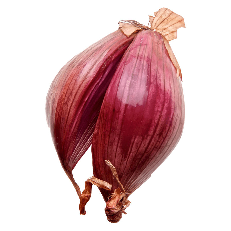 和利農(nóng)四季紅蔥頭種子盆栽種苗紅蔥頭種籽小香蔥火蔥四川春冬季陽(yáng)臺(tái)蔬菜 2斤紅蔥頭