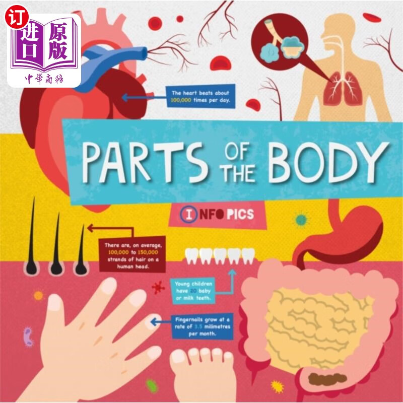 海外直订parts of the body 身体的各个部位