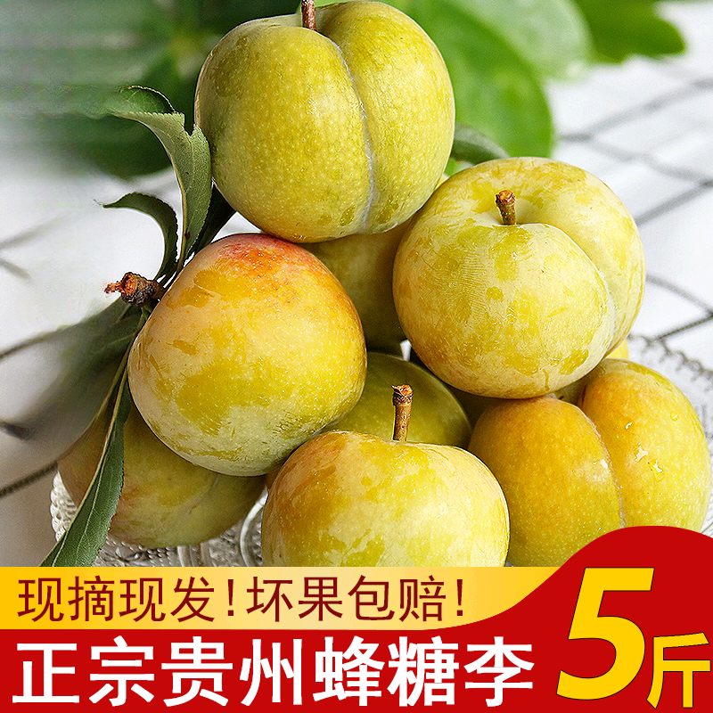 壹果万麦蜂糖李镇宁蜂蜜李子果脱骨青脆李新鲜水果冰脆 5斤