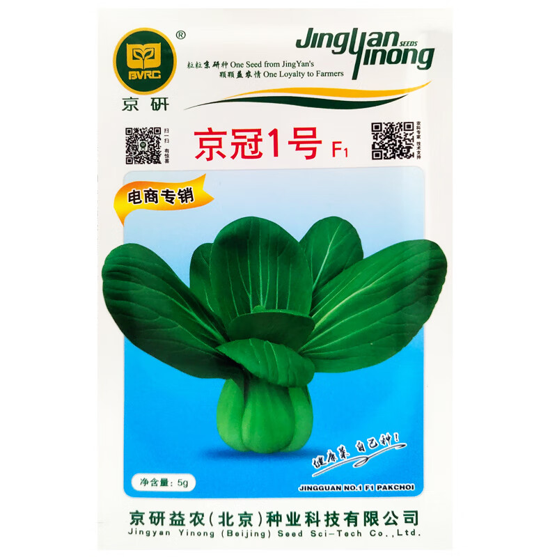 种子种籽阳台矮脚蔬菜种子白菜菜籽种孑 京冠一号5克1500粒/农科院