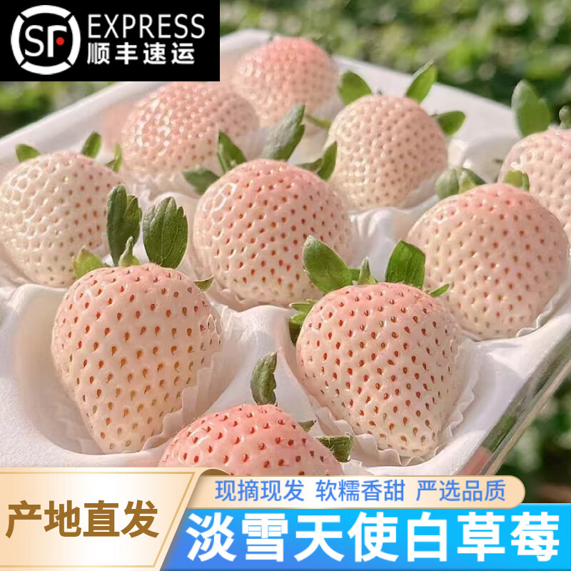 祁語順豐【空運(yùn)】淡雪白草莓白色草莓日本引進(jìn)品種新鮮水果送禮品 2盒500g單盒20粒