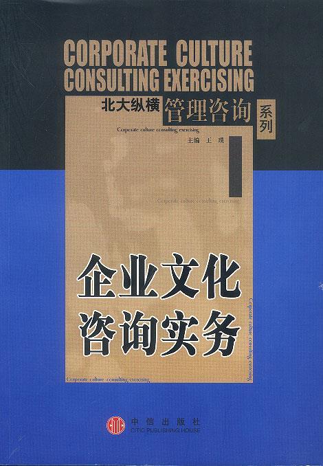 企业文化咨询实务 王璞 等著【正版书】
