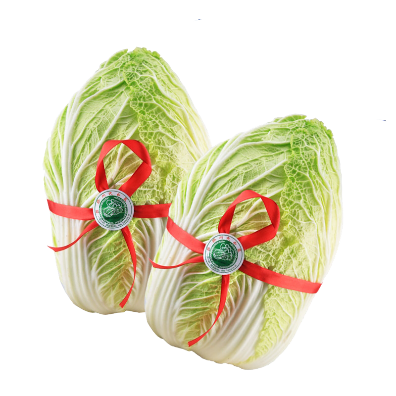 山东胶州大白菜 有机认证火锅清炒食材 新鲜当季蔬菜 精品礼盒2颗装约10斤