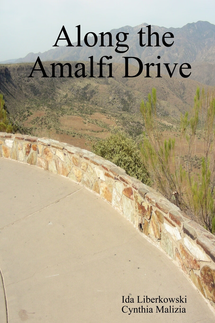 【预售 按需印刷】along the amalfi drive
