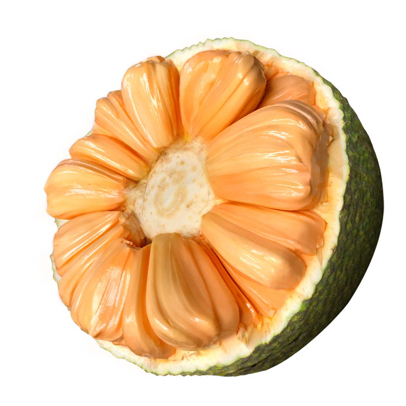 菠萝蜜红心新鲜水果红肉大菠萝蜜一整个榴莲蜜当季整箱 10-12斤