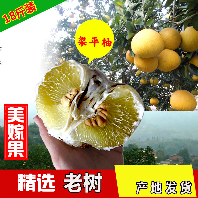 重庆梁平柚子麻柚龙潭柚平顶柚梁山柚现摘现发当季新鲜水果18斤装 中