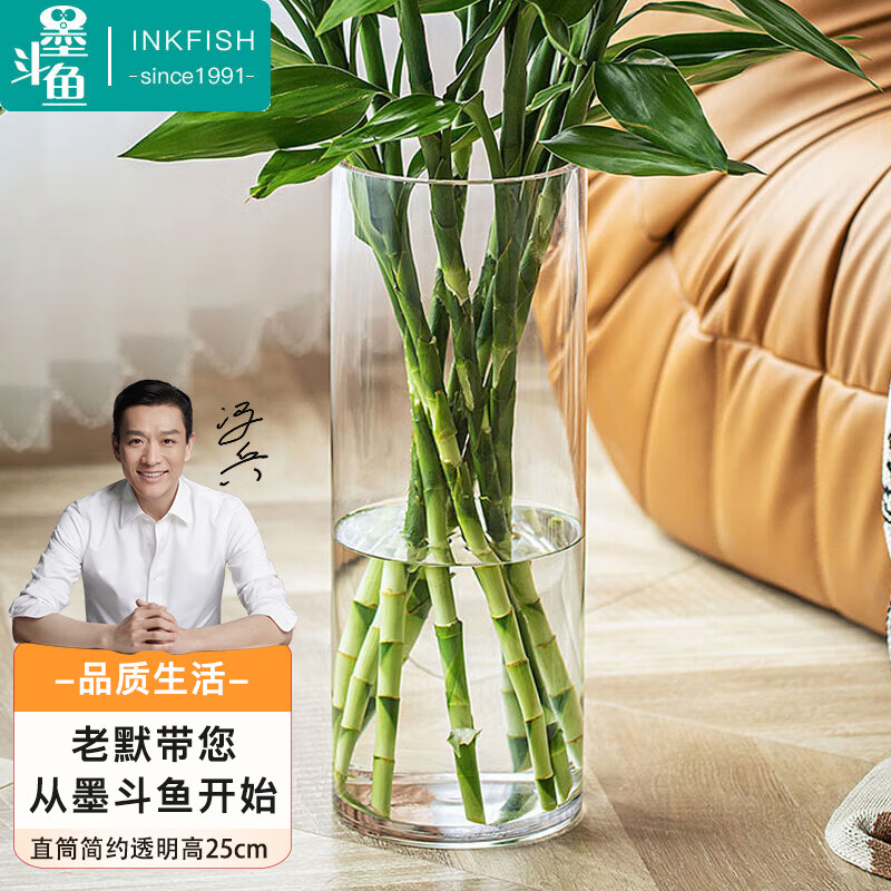 墨斗鱼玻璃花瓶透明植物插花瓶水培容器大花瓶装饰客厅摆件直筒款25cm