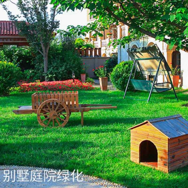 萌蕴(mengyun)进口地毯草种籽草坪草籽四季常青矮生绿化草坪种子庭院