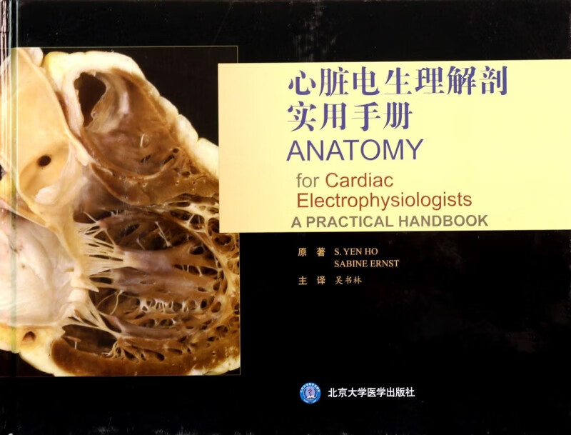 心脏电生理解剖实用手册(精)