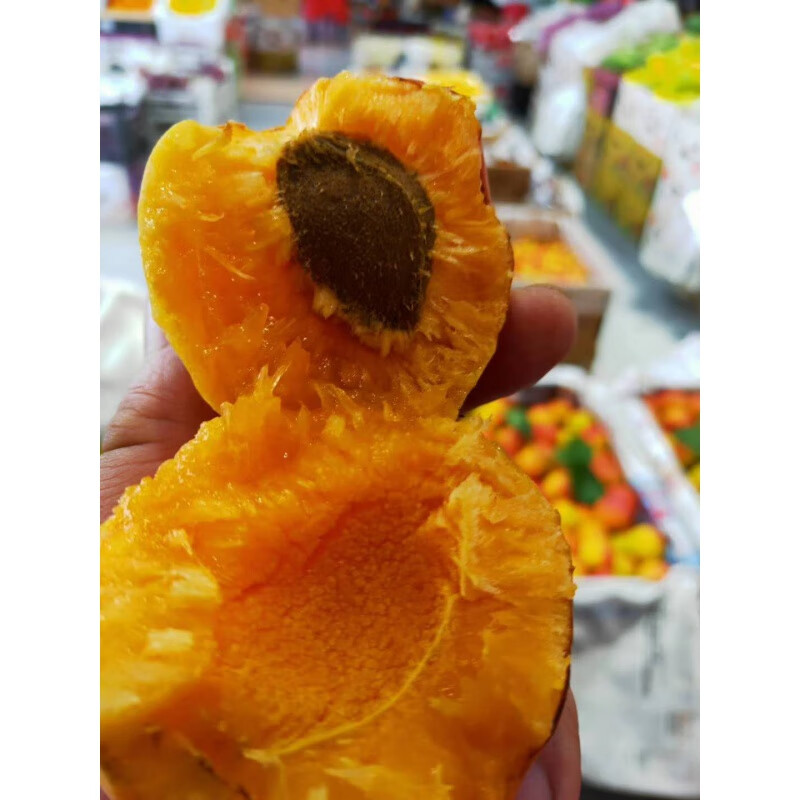 玫栀庄河歇马杏正宗特产应季新鲜杏子甜个大孤山杏梅甜杏红杏 5斤