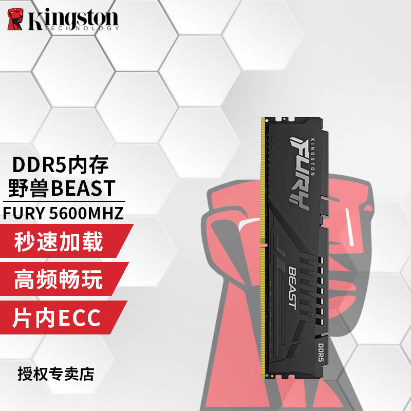 金士顿（Kingston）Beast野兽系列骇客神条 DDR5 5代台式机内存条 FURY 游戏电竞 DDR5野兽 5600频率 16GB 1条