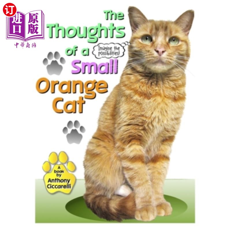 海外直订the thoughts of a small orange cat 一只橙色小猫的想法