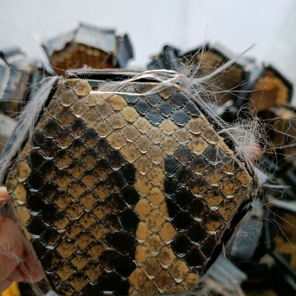 二胡皮蟒皮套装皮已铲过直接蒙皮尾部皮买一五配件