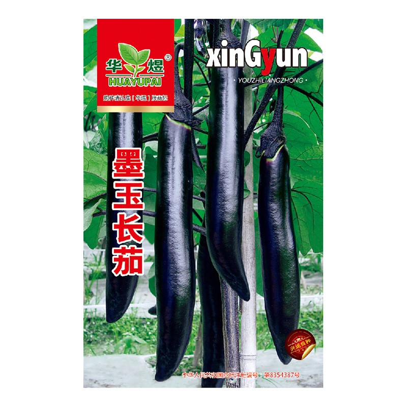 樱霞(买2件以上送肥料) 墨玉长茄种子 长茄子种籽圆黑紫色长茄四季