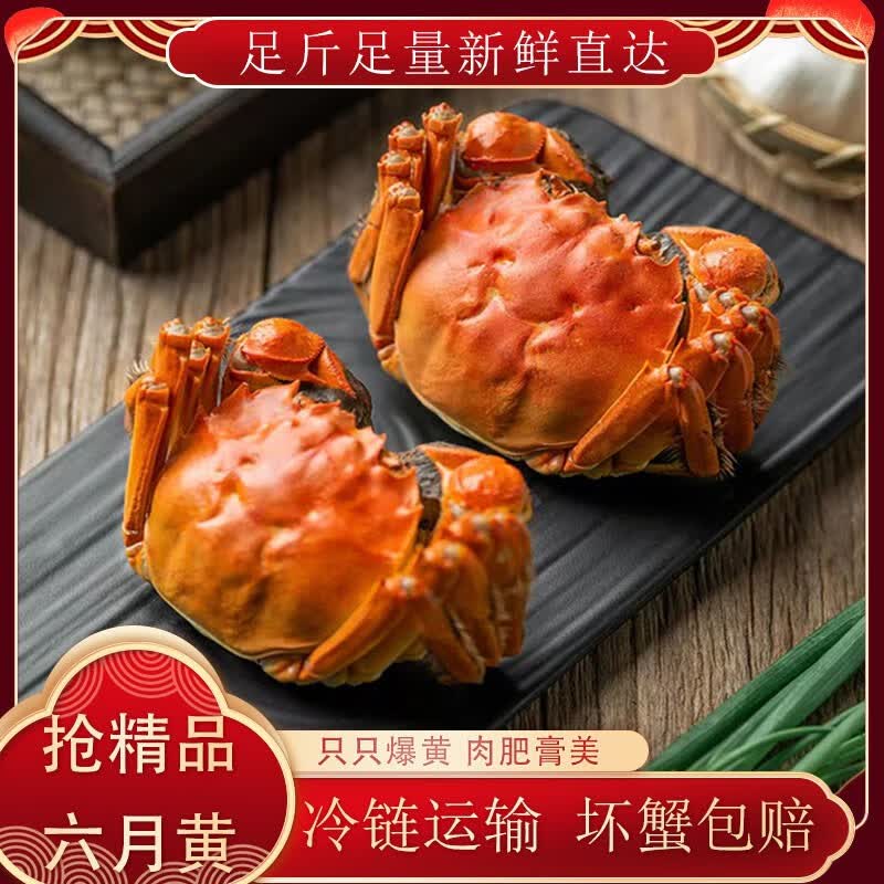 【活蟹】蟹皇上大闸蟹鲜活六月黄螃蟹湖水养殖去绳净重现货礼盒装 1.9-2.2两6只公母随机发货高性价比高么？