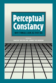 预订 perceptual constancy