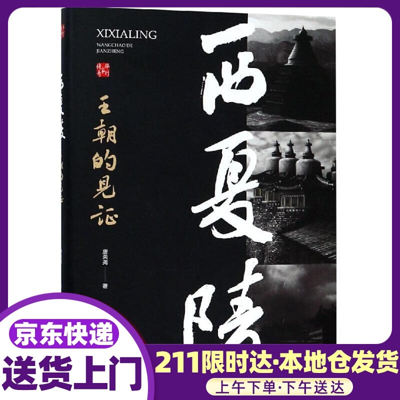 西夏陵：王朝的见证 唐荣尧 中国地图出版社