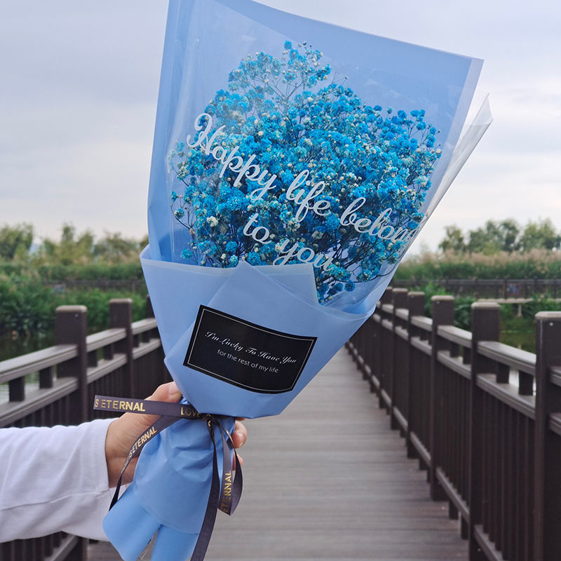 蔓缀 手捧满天星干花成品永生花束真花送人女朋友闺蜜女生精致生日