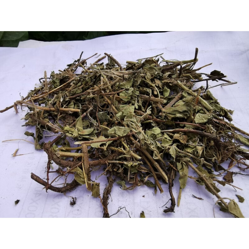 土茵陈中药材牛至草500克 阴行草猪毛蒿山茵陈石茵陈铃茵陈可磨粉