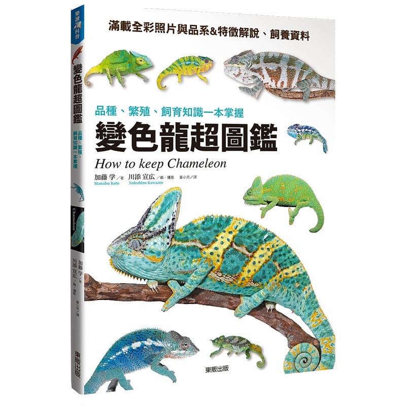 预售 加藤学 变色龙超图鉴：品种、繁殖、饲育知识一本掌握 中国台湾东贩