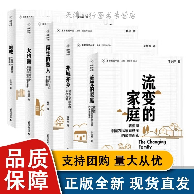 重新发现中国5册套装 亦城亦乡+大均衡+治城：中国城市及社区治理探微+流变的家庭+亦城亦乡 农村问题研究