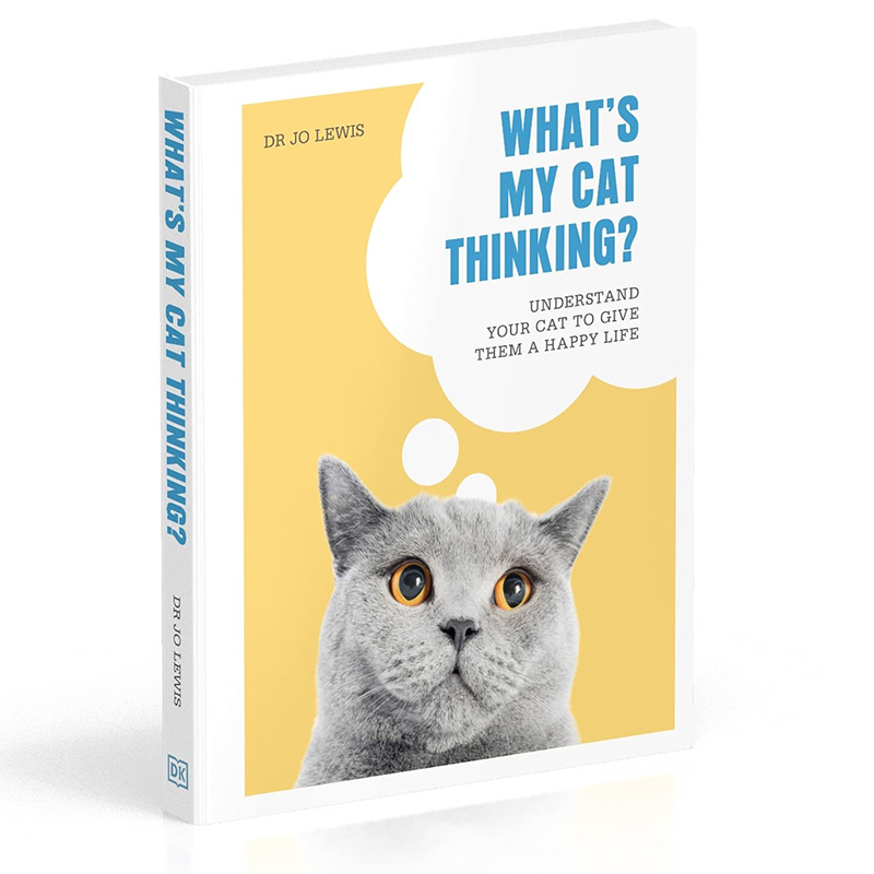 我的猫在想什么?英文原版图书籍进口正版 dr