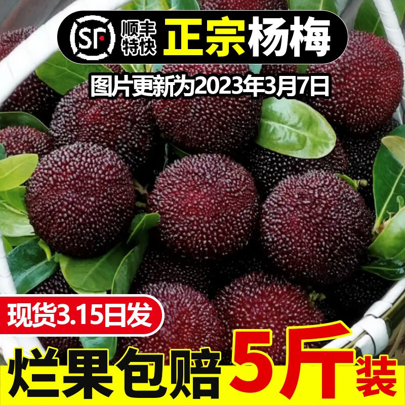 采缇（CAITI）现摘现发云南石屏新鲜杨梅鲜果孕妇水果当季礼盒装 精选一斤装果篮+冰袋怎么样,好用不?