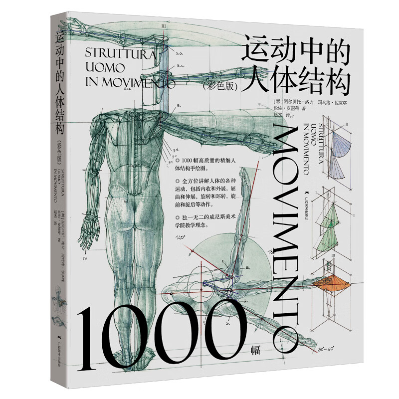 运动中的人体结构(彩色版)