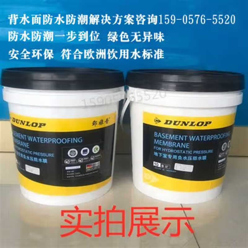 邓禄普地下室负水压专用防水膜背水面抗渗防潮防霉涂料ab组份 地下室