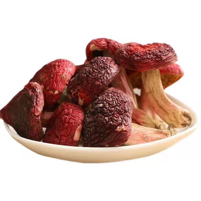 新鲜红椎菌 红椎菇菌云南大红菌红菇500克云南红菇