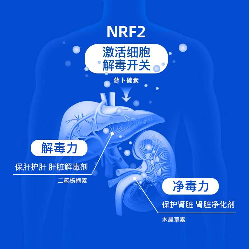 富山健康风清片木犀草素NRF2嘌呤代谢熬夜酸友成人健康30粒高含量 风清片 萝卜硫素二氢杨梅素木犀草素西兰花/藤茶