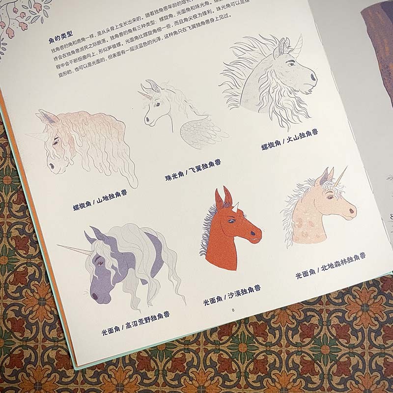 关于独角兽的几乎全部真相