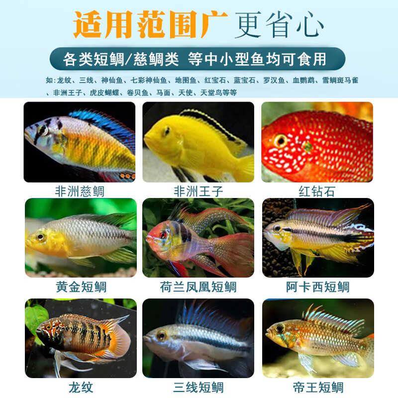 鱼麒麟小型鱼饲料孔雀鱼七彩神仙鱼粮斗鱼热带鱼原生吉罗观赏鱼天使鱼食 三湖慈鲷素食饲料【缓沉】150ml