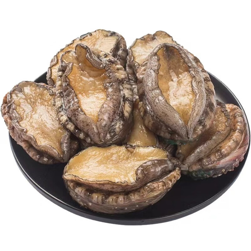 皓谦鲍鱼带壳鲜活冷冻 海鲜水产鲍鱼10头新鲜超大个鲍鱼非即食450g