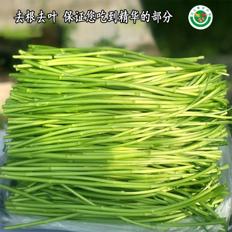 篱蒿现割去根去叶当季芦蒿新鲜黎蒿蔬菜菜藜蒿鲜嫩泥蒿蓠蒿 4斤【去跟