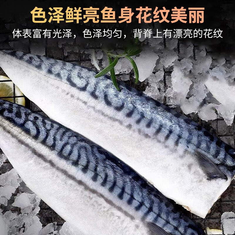尚致 第二件58 青花鱼6片装冷冻青鱼鲭鱼生鲜海鲜烧烤食材青花鱼片鲐鲅鱼海鱼海鲜水产青花鱼1000g 虎窝购