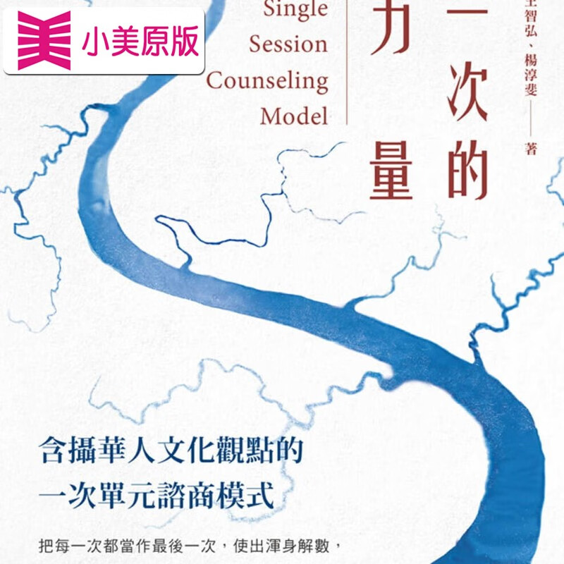 现货 原版进口书 王智弘一次的力量：含摄华人文化观点的一次单元咨商模式张老师文化