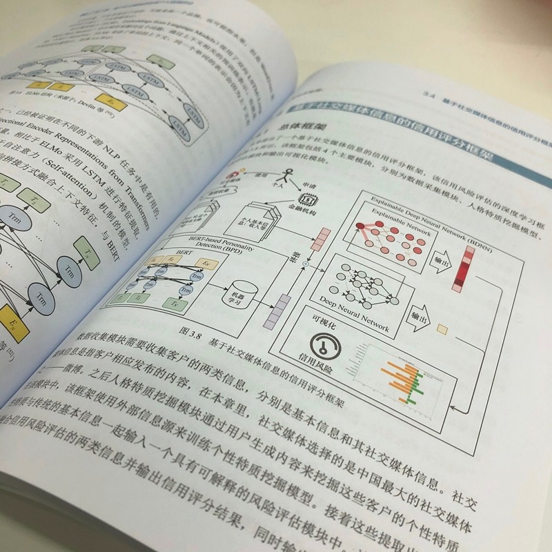 金融信用评估——大数据背景下的统计学与机器学习应用（异步图书出品）详情图