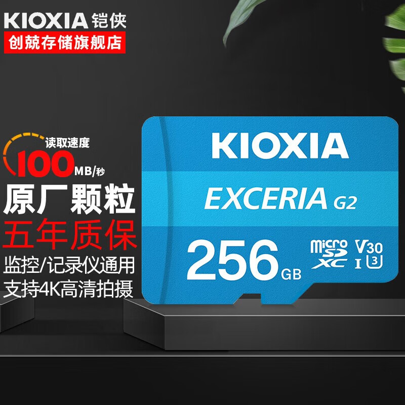铠侠（Kioxia）监控存储卡 手机内存卡 高速储存sd卡 行车记录仪TF卡 铠侠256G【原东芝】