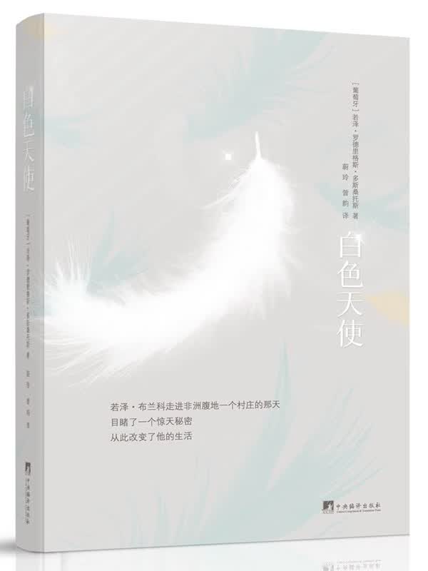 白色天使(故事情节几乎全部取自真实历史,这部小说处于关于葡萄牙非洲战争文学的前沿。)