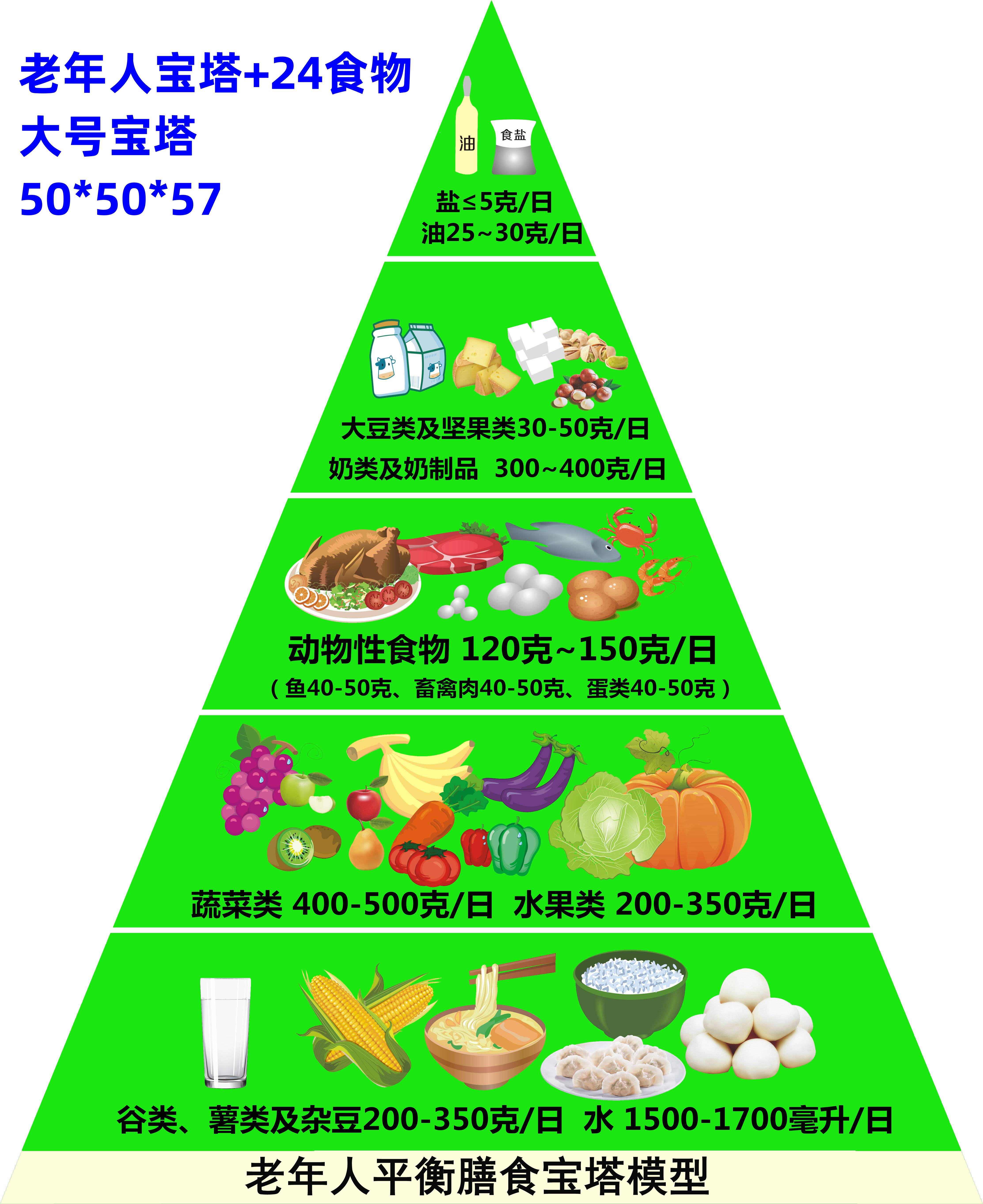 黛博拉仿真食品中国居民平衡膳食宝塔模型健康食物营养金字塔交换份