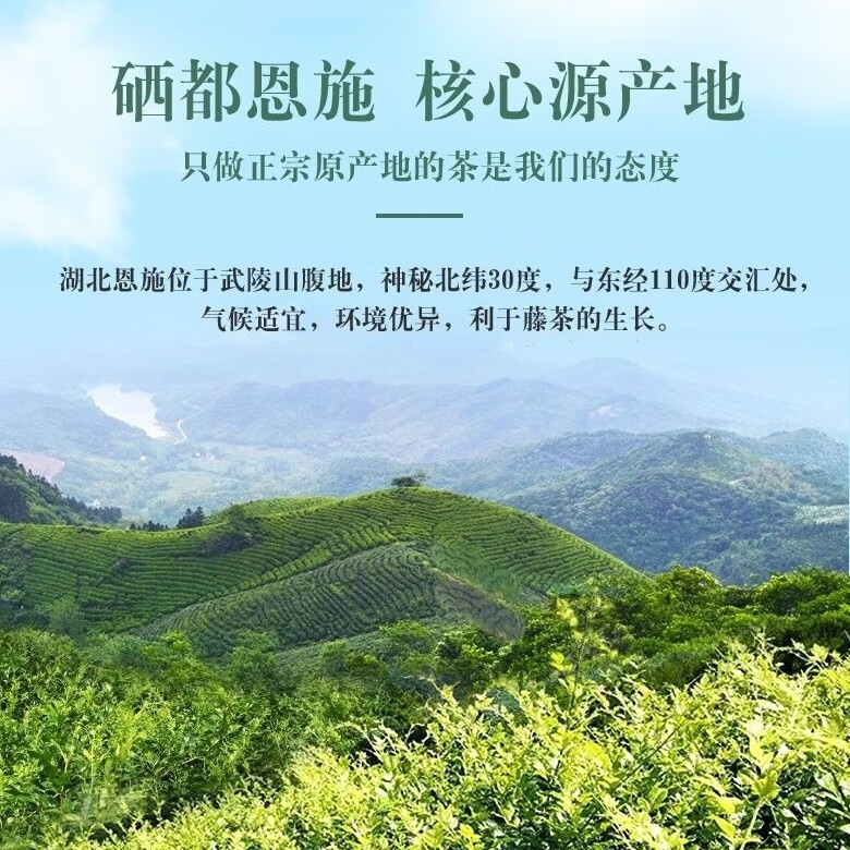 施南驿(朵芽芽尖紫藤250g罐装）2025新茶野生富硒土家来凤藤茶 朵芽罐装125g