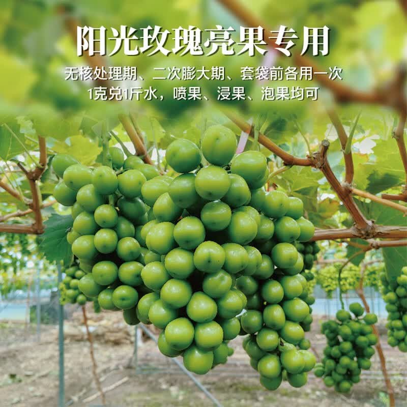 海德龙日本进口昆士汀甜菜碱樱桃防裂果 阳光玫瑰葡萄亮果剂去果粉果绣 200g/袋