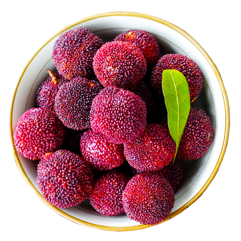 韶云山 杨梅水果 新鲜现摘 5斤 c优鲜 125元