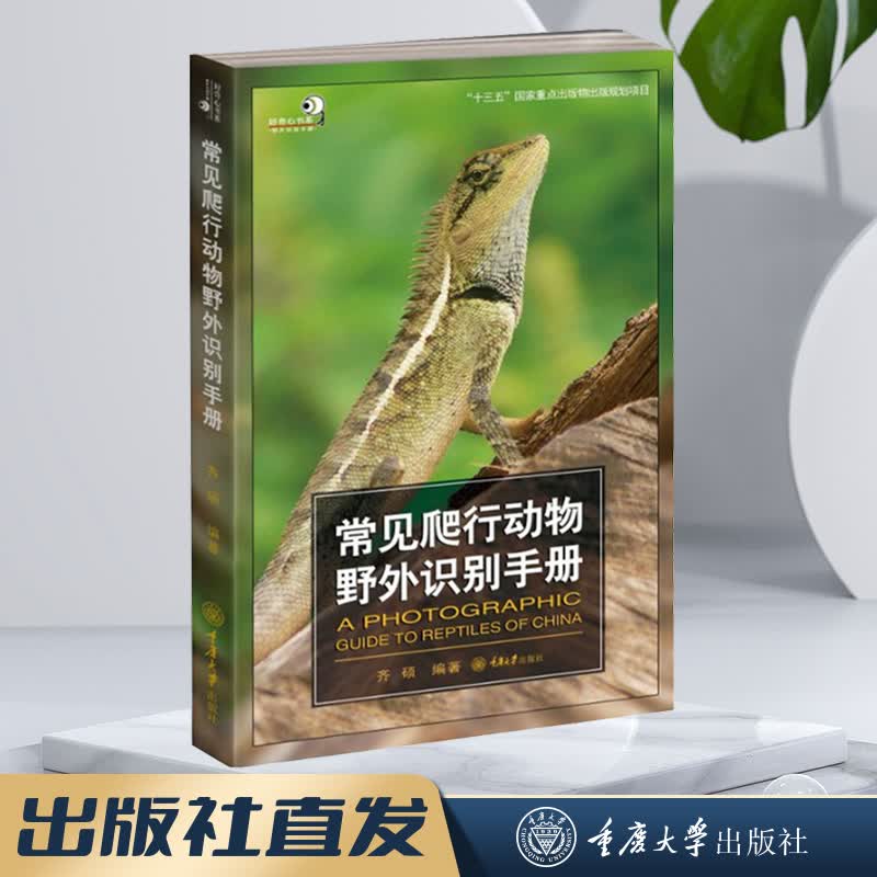 重庆大学科普书籍好奇心书系野外识别手册12册常见蜻蜓爬行动物蜘蛛蘑菇鸟类蜗牛天牛蝴蝶昆虫植物南方野花识别手册探寻自然的奥秘 常见爬行动物野外识别手册