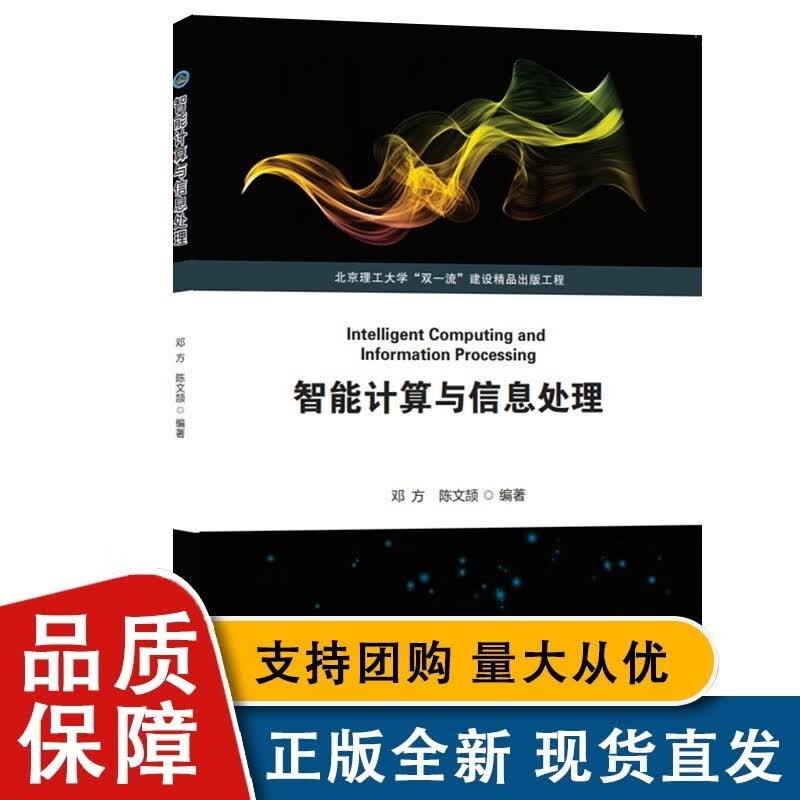智能计算与信息处理 智能计算机 信息处理