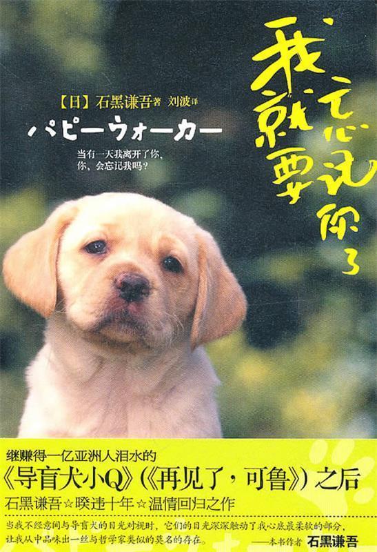 我就要忘记你了【正版图书,放心购买】