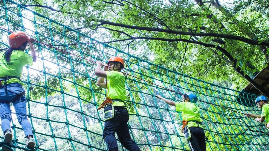 衢州大荫山丛林飞越探险乐园树上双线票成人票 衢州大荫山 景点门票