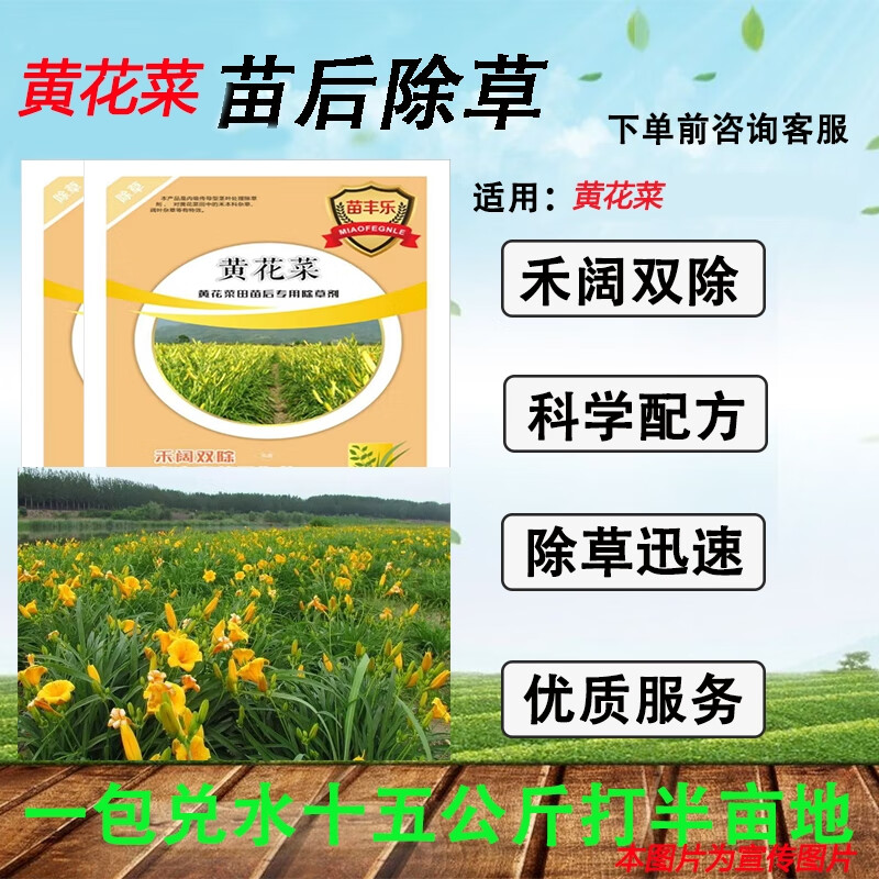 瑞邦高盖黄花菜苗后专用除草剂百合科禾阔双除成熟配方厂家直销量大从